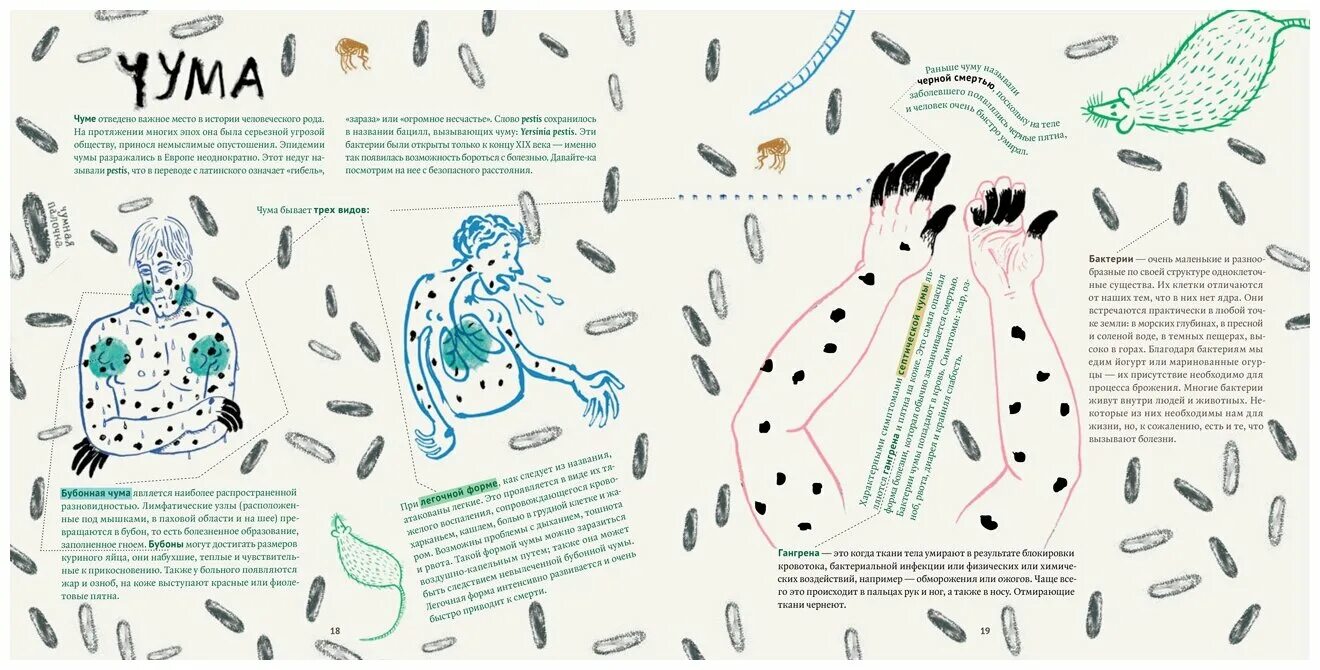 Чума написал. Хворые истории от чумы до коронавируса Издательство белая ворона. Хворые истории от чумы до коронавируса. Хоровые истории от чумы до коронавируса. Инфографика болезни чумы.