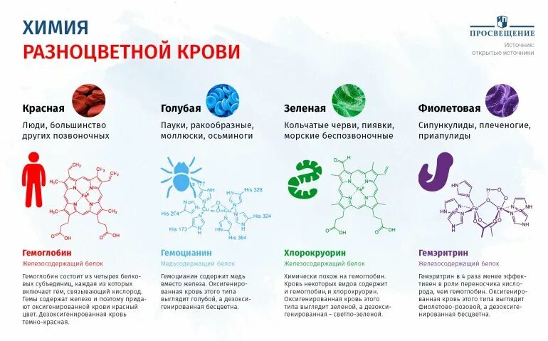 Кровь разного цвета. Гемоцианин хлорокруорин. Химия разноцветной крови. Гемоглобин и гемоцианин. Какого цвета кровь у животных.