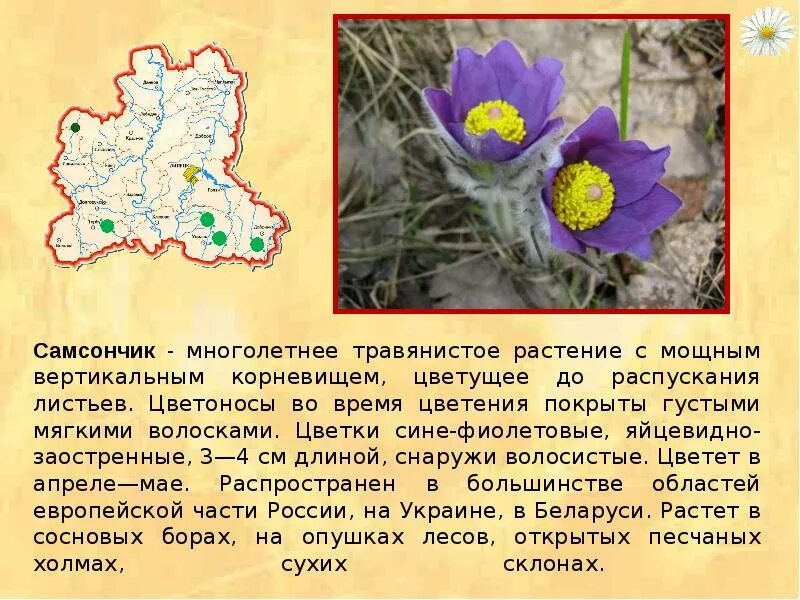 Редкие растения Липецкой области