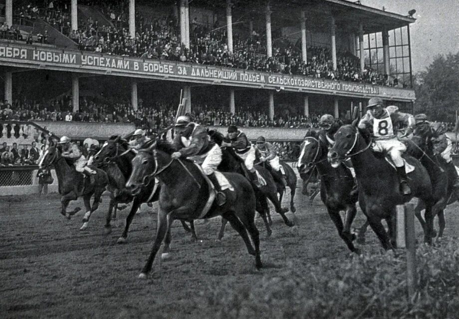 донской казак джигитовка. московский ипподром 19 век. 1910 ипподроме шантийи лошади. московский ипподром 19 век. скачки на лошадях чб.