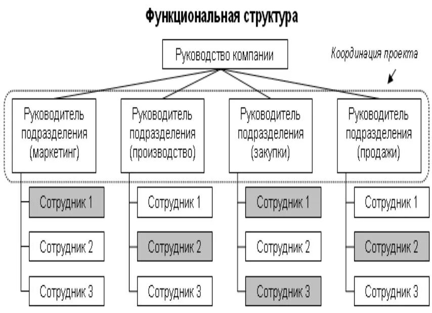 Функциональные отделы организации. Функциональная организационная структура организации. Функциональная структура предприятия схема. Функциональная организационная структура предприятия. Функциональная организационная структура схема.