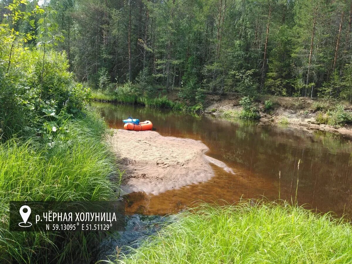 Чёрная Холуница (река). Черная Холуница Кировская область. Река черная Холуница Кировская область. Озеро круглое Решетниково. Черная речка курган