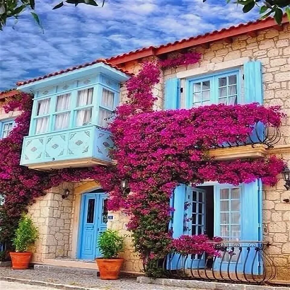 Alacatı Seyahat, İzmir, Instagram
