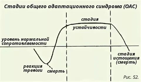 Общая стадия это
