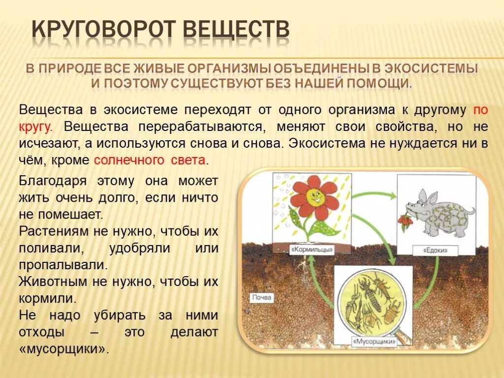 Круговорот веществ из живых организмов 3 класс. Сообщение на тему круговорот веществ в природе. Круговорот веществ в природе 3 класс сообщение. 5. Круговорот веществ в природе..