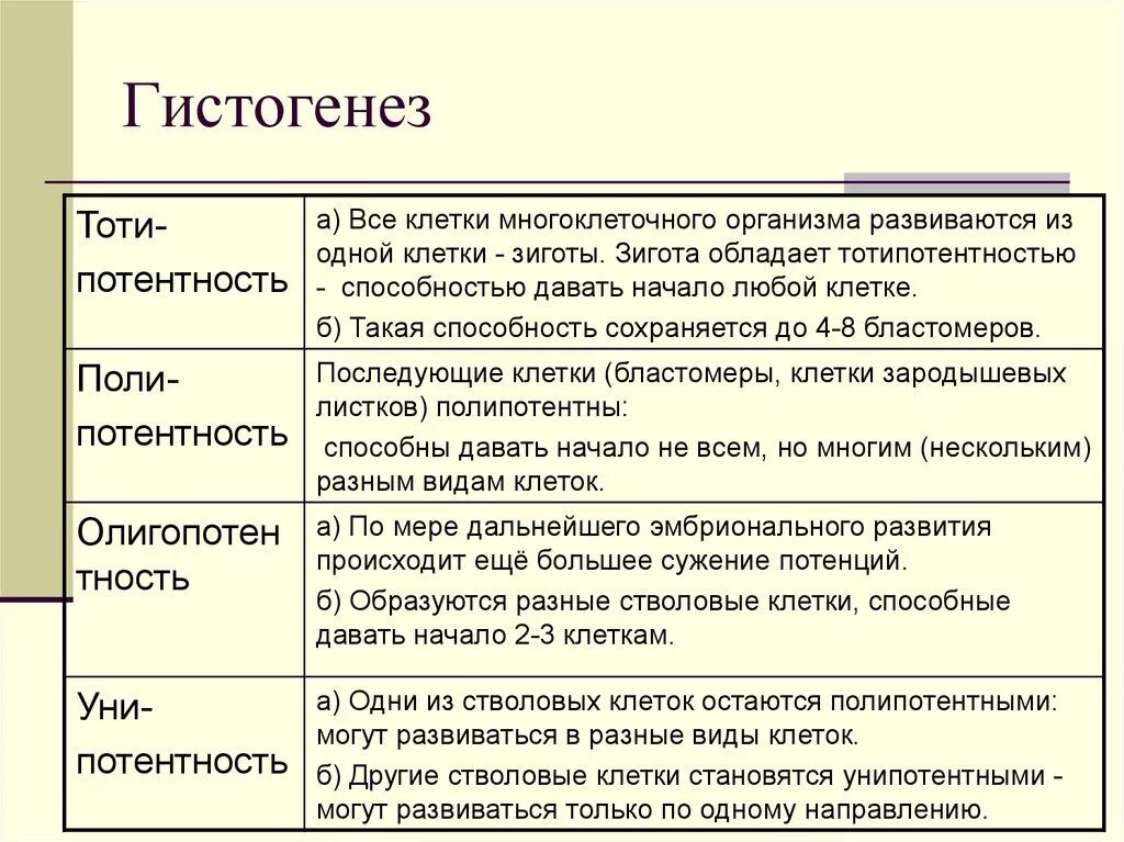 Три стадии характеризующие стадию органогенеза. Гистогенез. Гистогенез и органогенез. Эмбриональный гистогенез таблица. Этапы гистогенеза.