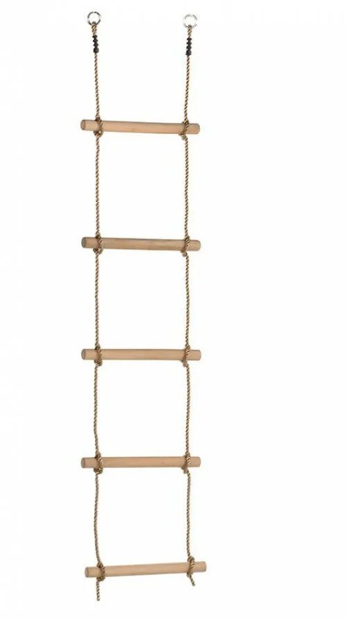 ladder Recovery inspiration, You can do anything, Canning