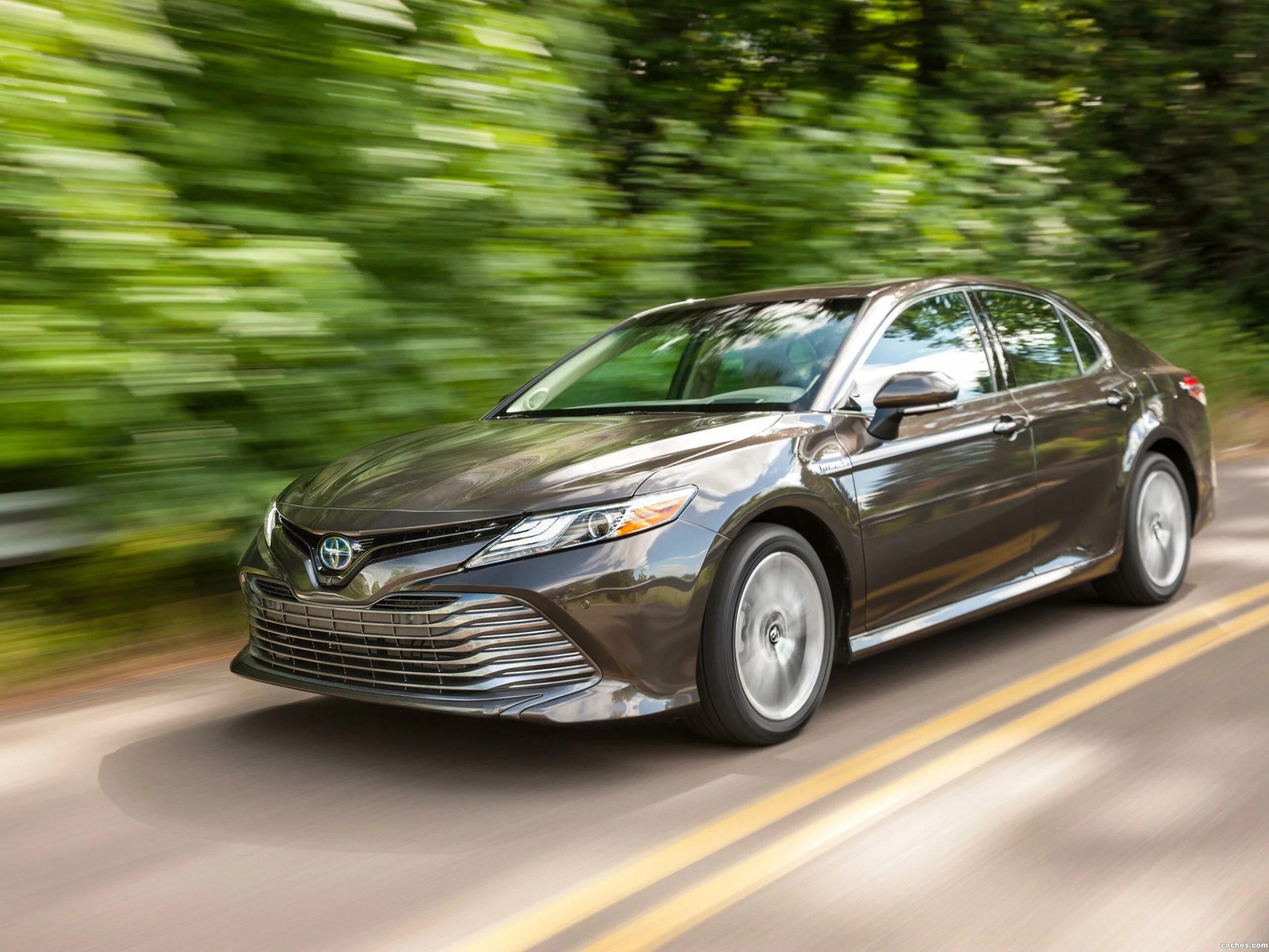 Toyota Camry XLE 2019. Toyota Camry 2018. 2018 Toyota Camry XLE. Toyota Camry XLE 2017.