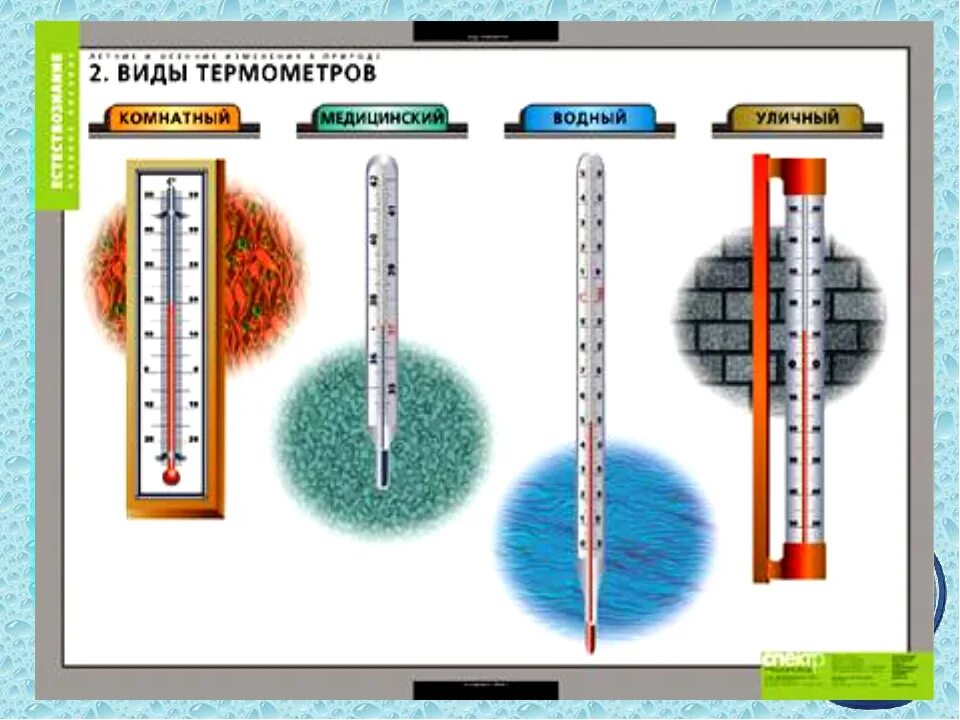 Второй опыт температура. Виды термометров. Термометр окружающий мир. Виды термометров окружающий мир. Виды термометров физика.