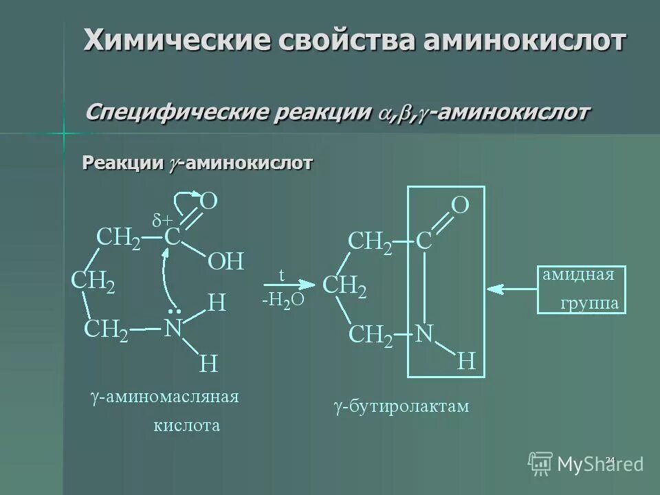 В реакцию с аминокислотами вступает. Реакции аминокислот. Химические свойства аминокислот. Специфические свойства аминокислот.