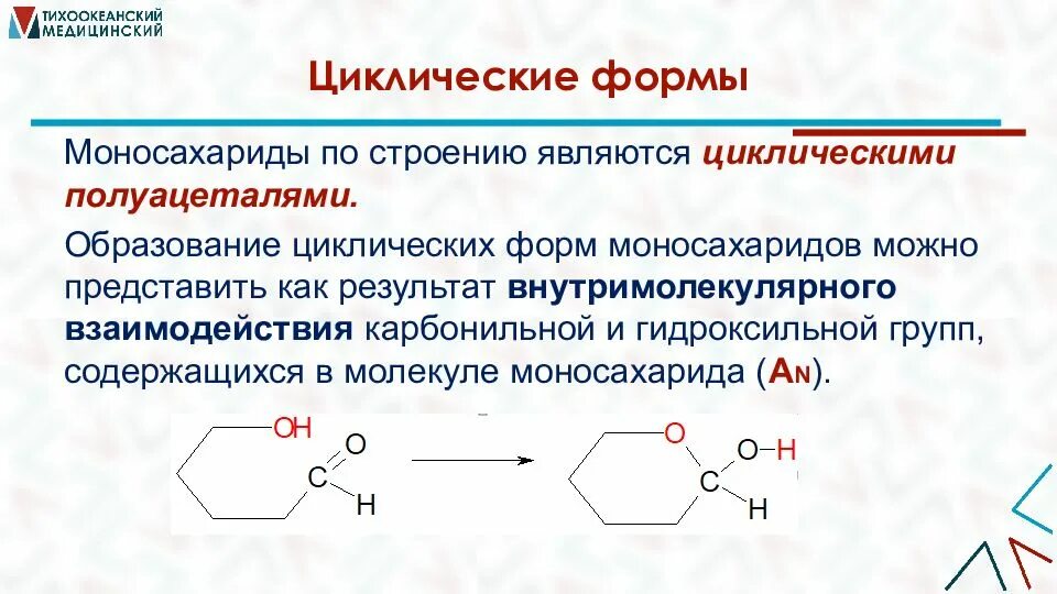 Гидроксильная группа содержится в молекуле. Циклические формы моносахаридов. Циклические полуацетали моносахаридов. Карбонильная и циклическая форма моносахаридов. Циклические формы моносахаридов презентация.