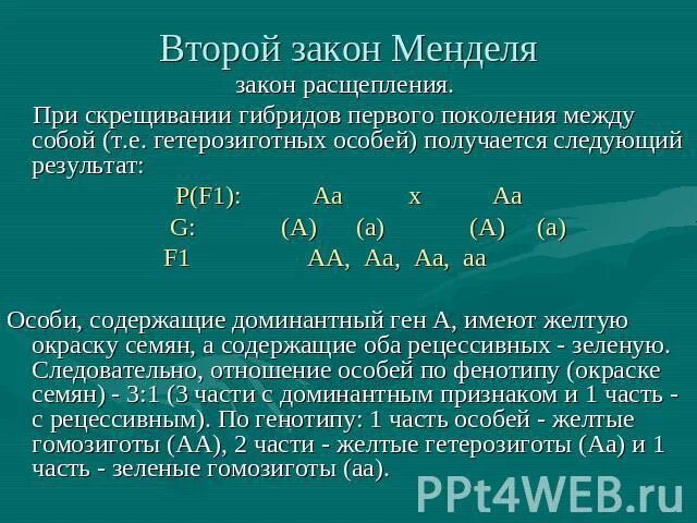 При скрещивании гибридов первого поколения между собой. Задачи на первый закон Менделя. Задачи на второй закон Менделя. Решение задач по 2 закону Менделя. Задачи на законы Менделя.