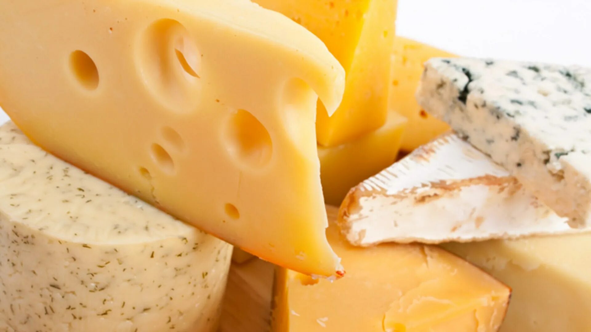 What cheese are you