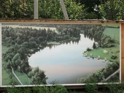 Вода в москве реке звенигород