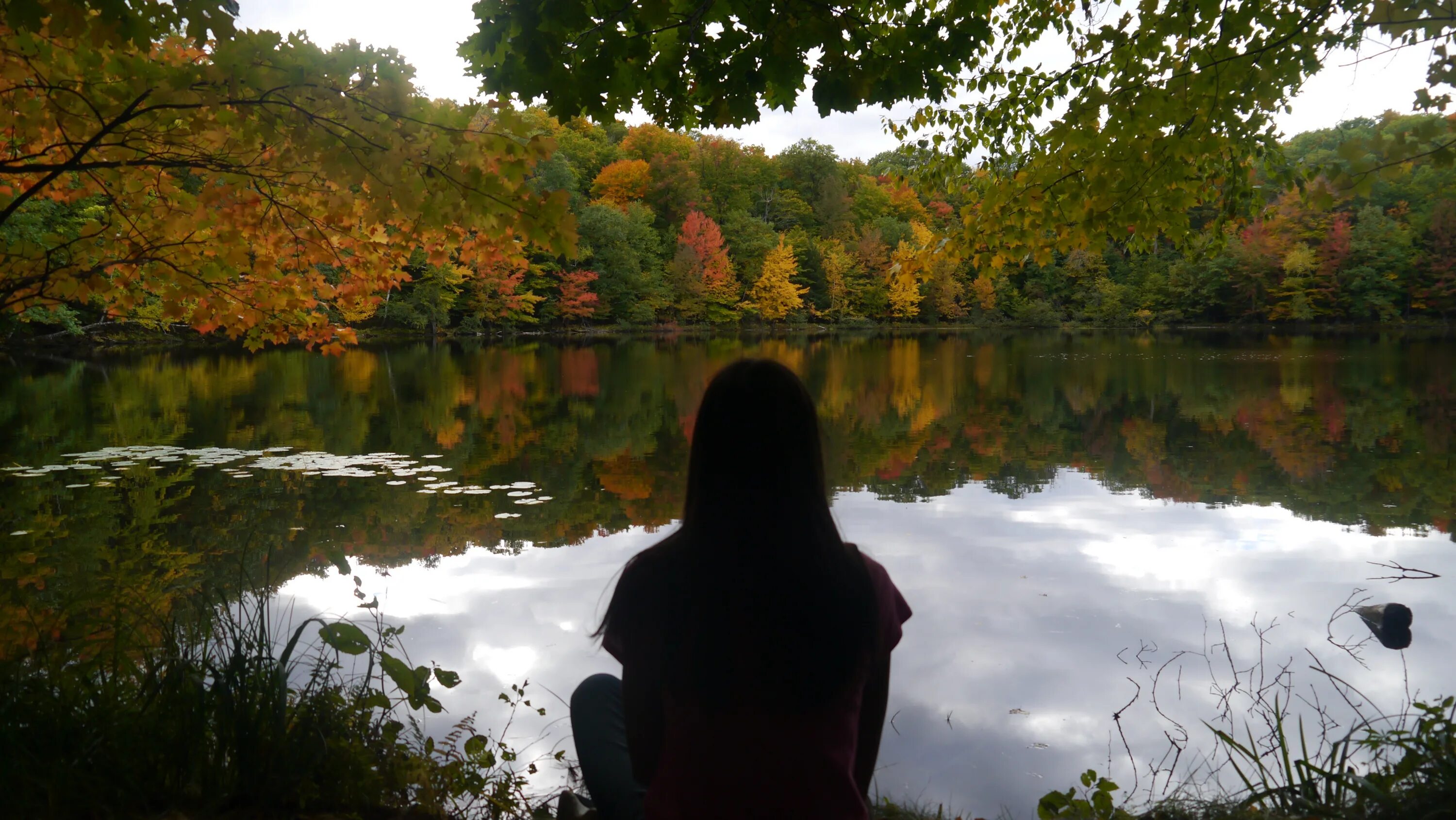 Размышления осени. Осенние раздумья. Раздумье осень. Раздумье в осеннем лесу. Отражение человека в озере.