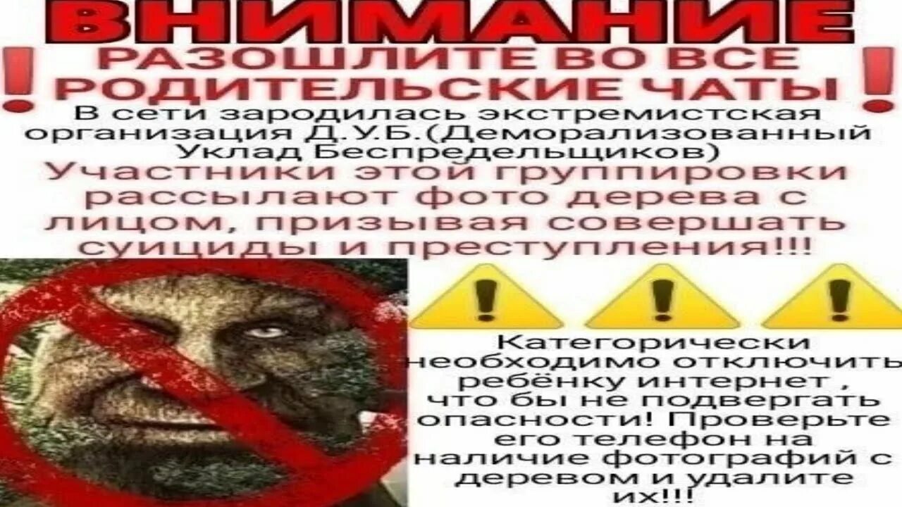 Когда начинается недро4абрь. Мистический дуб мемы. внимание разошлите в родительские чаты. ситхи недро4абрь аватарки мемные. ситх недро4абрь.