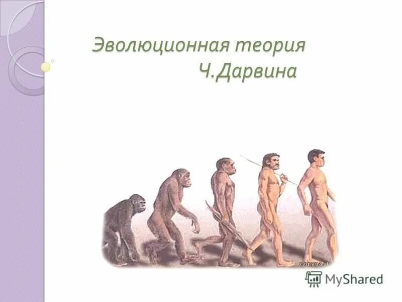 Теория эволюции это в биологии. Эволюционная теория Дарвина. Эволюционная теория Чарльза Дарвина. Эволюционная теория Дарвина презентация.