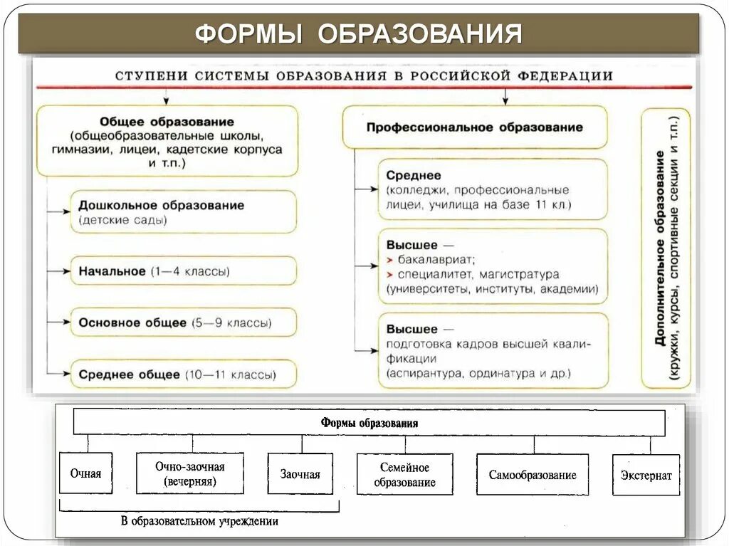 Формы получения образования и формы обучения таблица. Формы образования Обществознание. Формы образования в РФ. Формы получения образования в РФ схема. Система российского образования обществознание