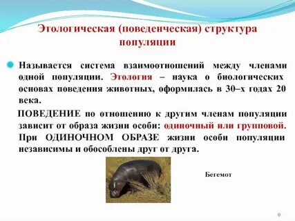 Социальная популяция
