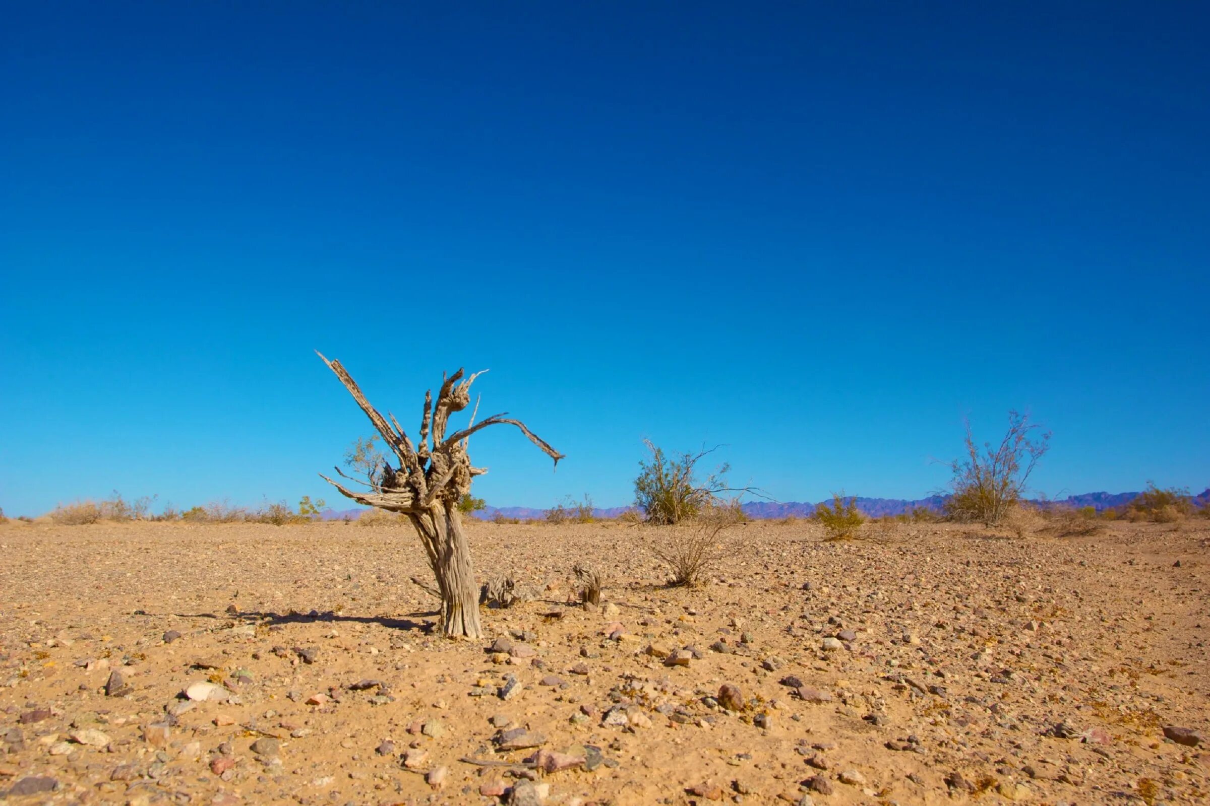 Занимает территории с засушливым климатом. Пустыня засуха. Сухой климат. Засуха климат. Засуха в Египте.