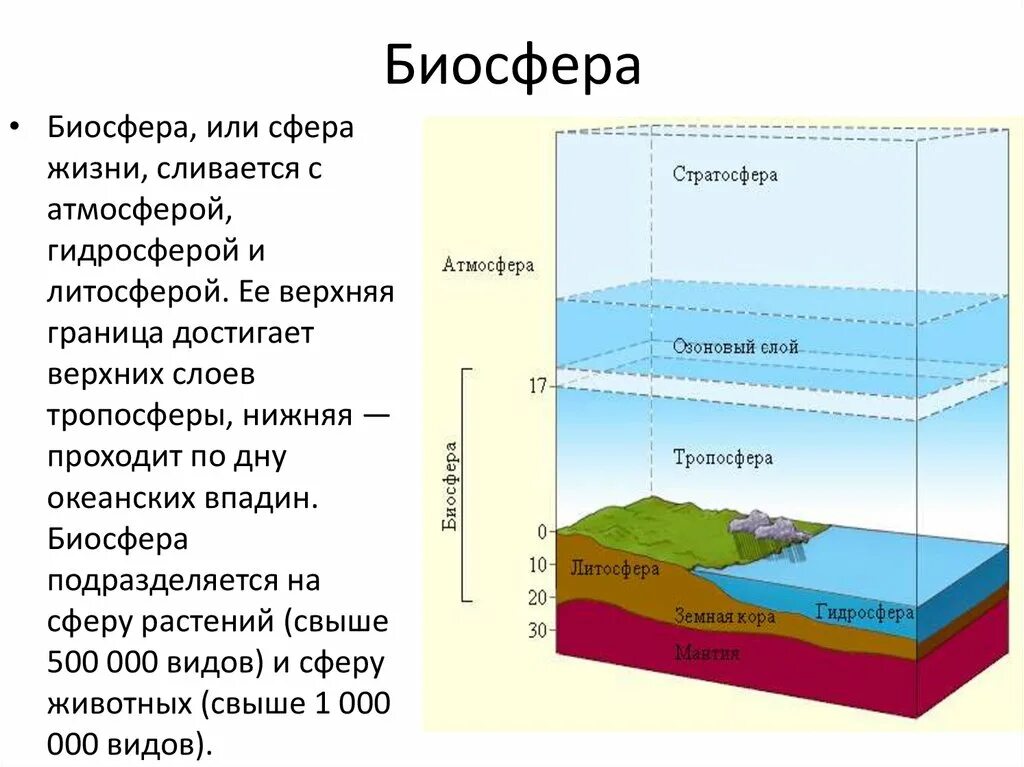 Социальная сфера общества. Какая сфера отсутствует. Сферы деятельности человека список. Какие сферы деятельности бывают в бизнесе. Сферы общества обществознание.