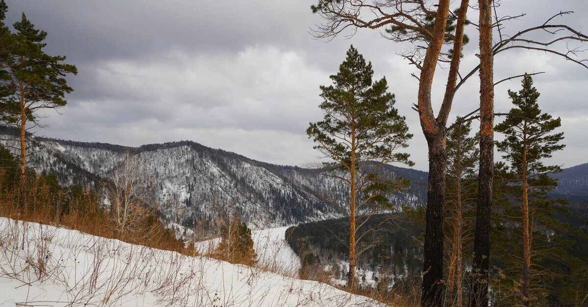 Окрестности красноярска. Манская петля. Красноярск природа. Красноярск окрестности фото.