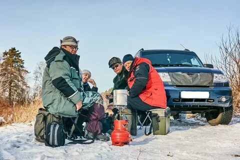Гисметео курья