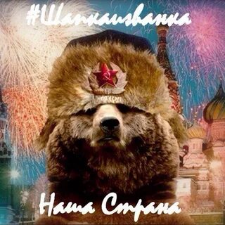 Новый русский картинки