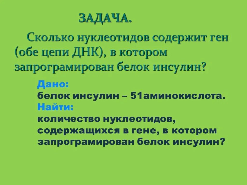 Сколько нуклеотидов содержат гены. Сколько нуклеотидов содержит ген. Сколько нуклеотидов в гене инсулина. Сколько нуклеотидов содержит ген 51 аминокислоты. Сколько нуклеотидов в цепи ДНК.