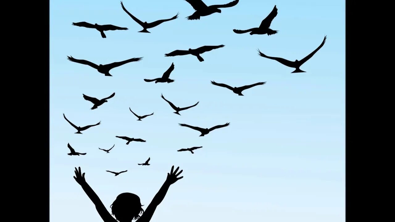 The people could fly. Can Fly. Вырастают улетают. Хчо i can Fly. Подрастут и разлетятся.