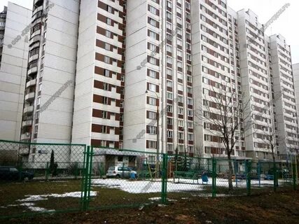 Митино 11