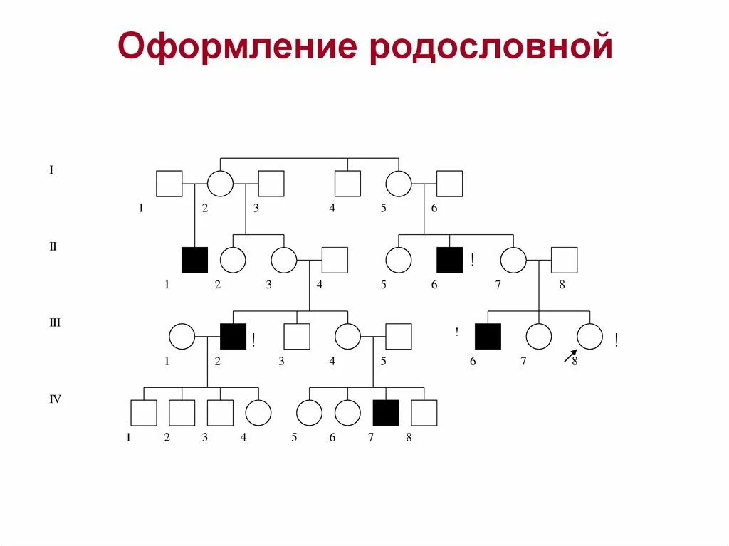 Формы составление родословных. Составление родословной. схема родословной. схема составления родословной. пример родословной.