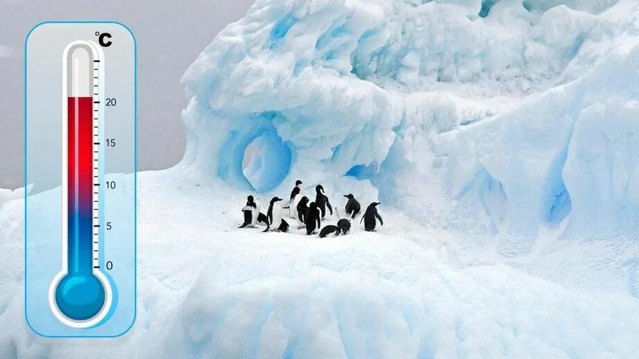 Самая низкая температура воздуха была зарегистрирована. Температура в Антарктиде. Климат Антарктиды. Антарктида градусы. Термометр в Арктике.