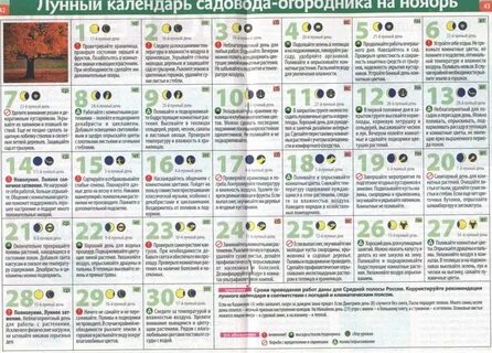 Лунный календарь давай