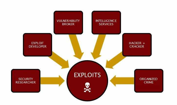 Exploit report. Эксплоит. what is exploit. the exploited. эксплойт группа.