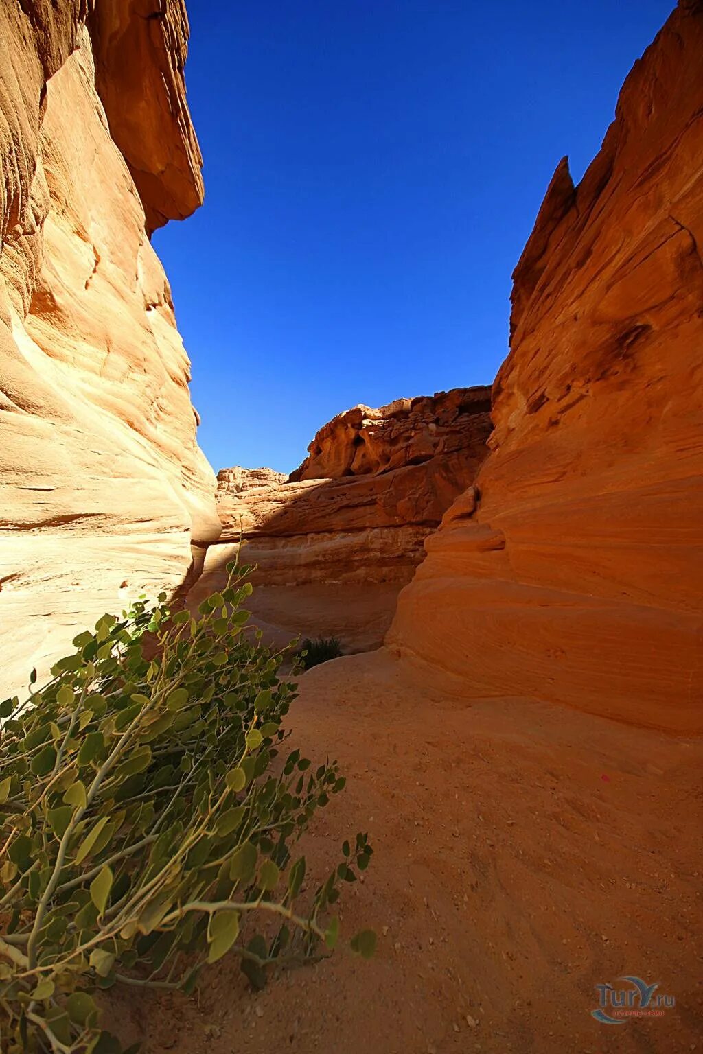 Каньон в Дахабе. Каньон Салама Египет. Цветной каньон Дахаб. Каньон шарм эль шейх