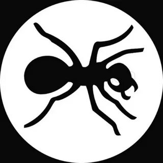Ant t