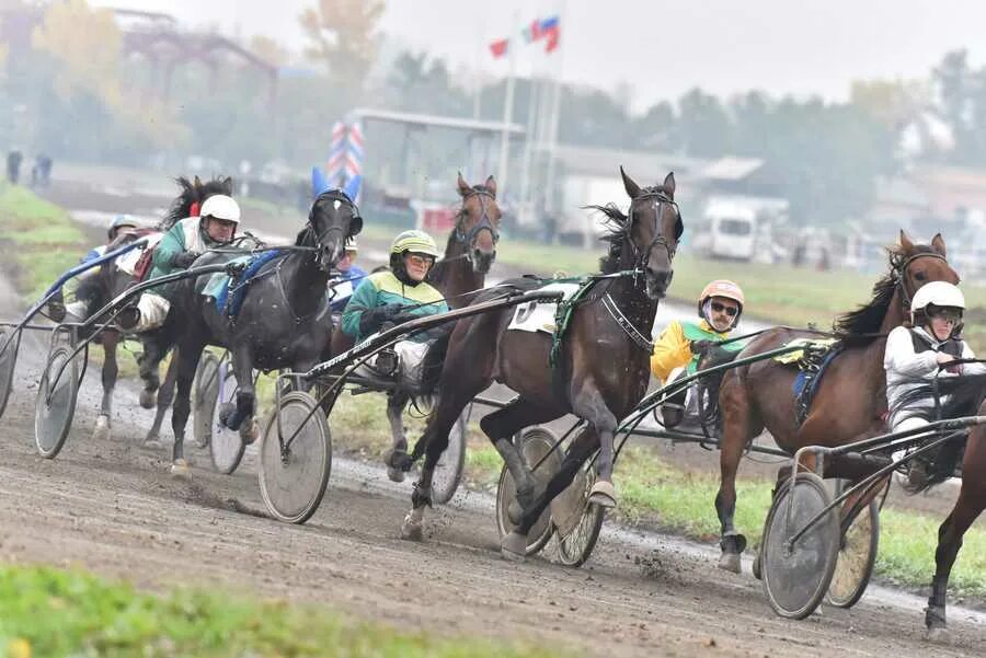 Ипподром жуковский. Усть абакан ипподром. Ипподром акбузат уфа. Хакасский республиканский ипподром сцена. Терра башкирия скачки.
