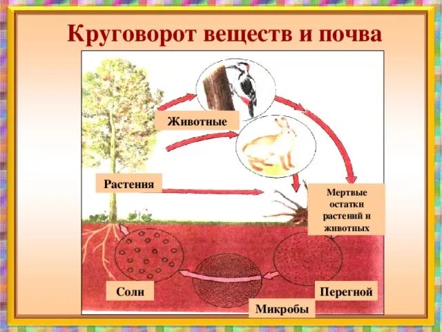 Круговорота веществ 3 класс. Модель демонстрирующая круговорот веществ 3 класс окружающий мир. Модель по окружающему миру 3 класс круговорот веществ в природе. Круговорот веществ в природе 3 класс. Круговорот веществ в почве схема.