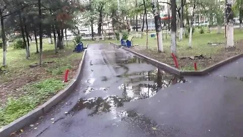 Погода в павловщине
