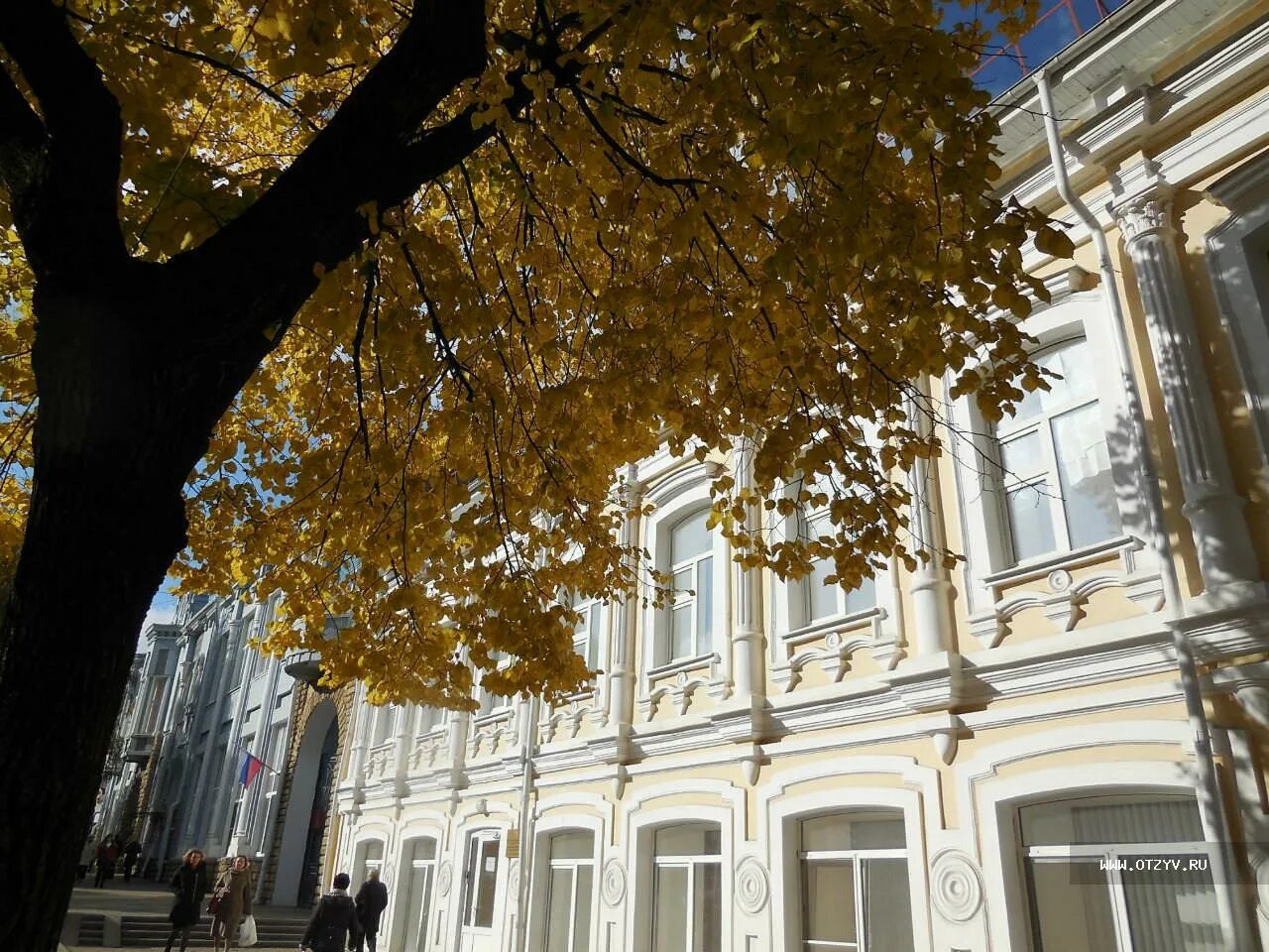 Пятьдесят оттенков золотого: фоторепортаж с осенних улиц Ставрополя