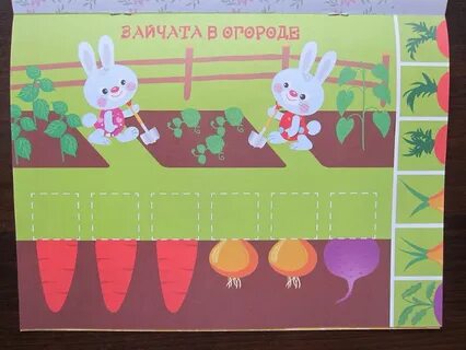 Первая аппликация