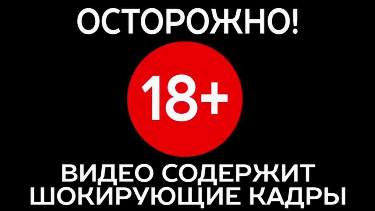 Видео 018. Дисклеймер ненормативная лексика. Ves firefight. Видео 018. Видео 018.