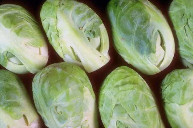 Cabbage 'Mini Caraflex' JARDIN Cabbage seeds, Organic seeds, Perennial vegetable