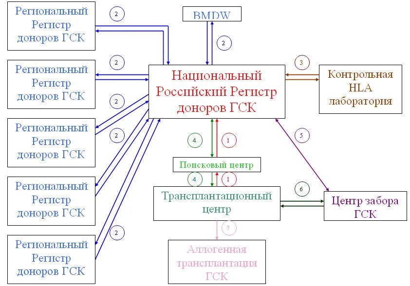 Региональный регистр. Подбор донора ГСК.