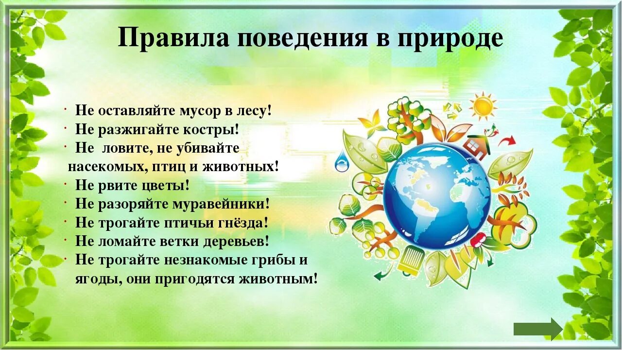 Классный час на тему день земли. Правила поведения на природе. Правлаповедеявприроде. Правила поведения на прирол. Павилапведенияв природе.