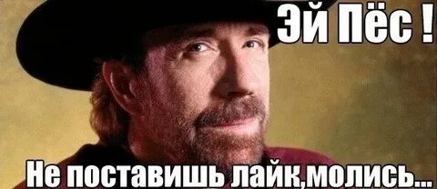 Лайк поставлю собака
