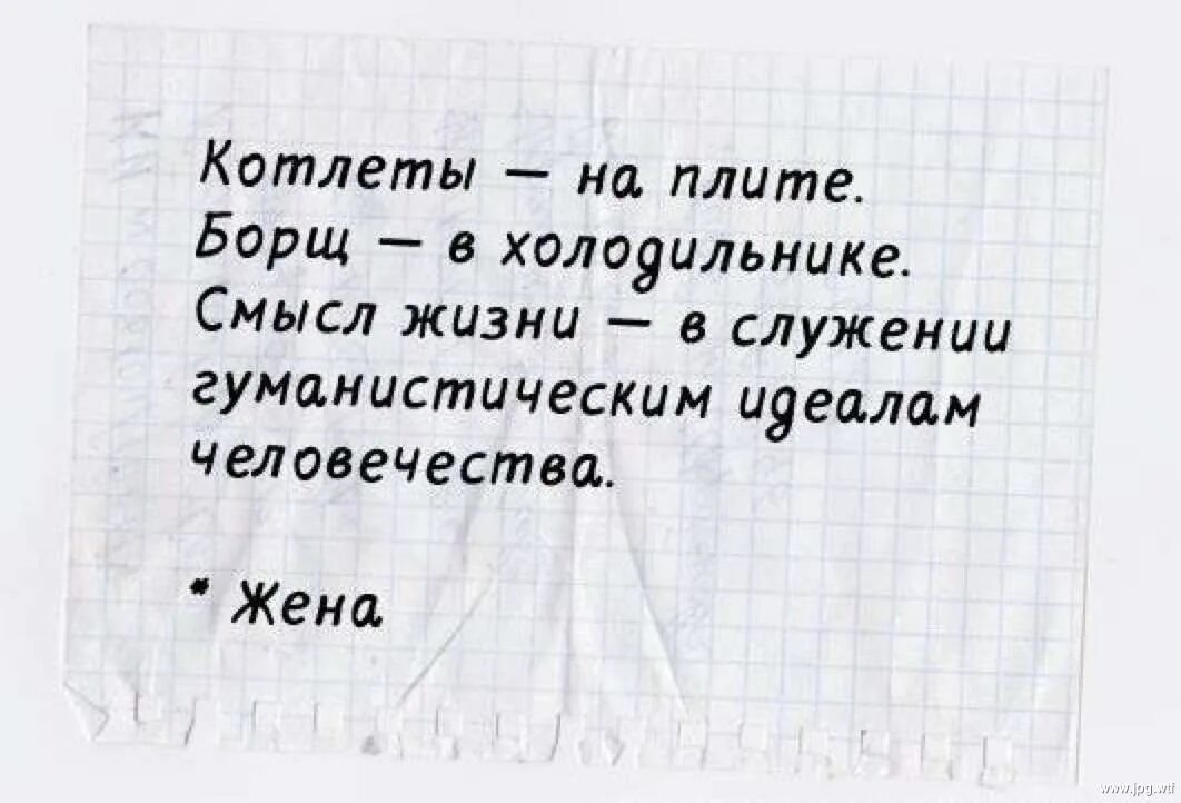 Смысл жизни анекдоты. Шутки про жизнь со смыслом. Смысл жизни в служении гуманистическим идеалам человечества. Смысл жизни прикол. Найти смысл жизни.