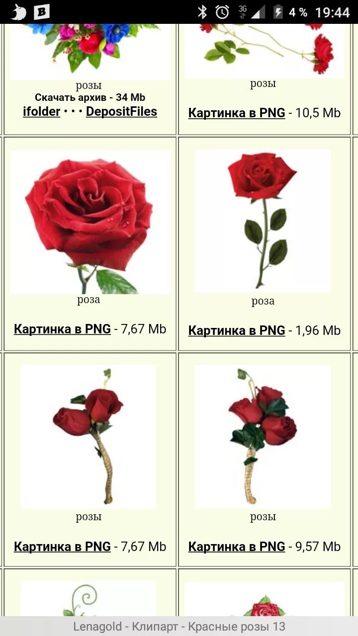 Сколько простоят розы. Размеры роз. Название роз. Розы по размерам. Название цветов роз.