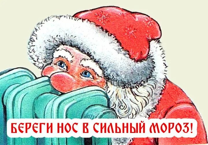 Береги нос в мороз. Смысл пословицы в зимний холод всякий молод. Иллюстрация к пословице береги нос в большой мороз. Почтовая открытка "в свитере". Береги нос в большой мороз картинки.